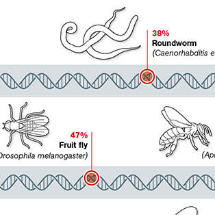 5W Samples - Shared Genes