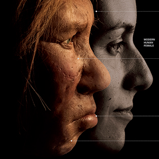 5W Samples - Side by Side with Neanderthals