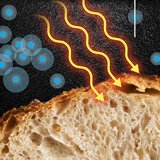 5W Samples - Modernist Cuisine - Bread 1