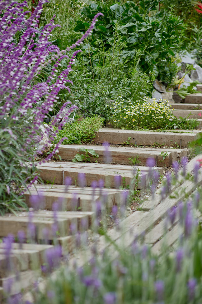 El Terreno by VERTEBRAL: Urban community garden and educational center