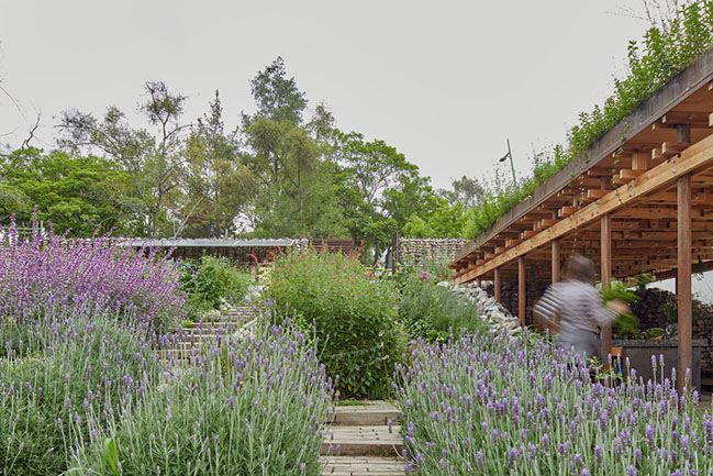 El Terreno by VERTEBRAL: Urban community garden and educational center