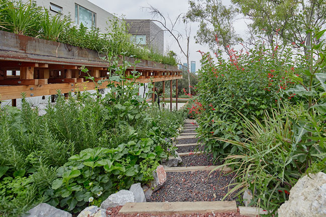 El Terreno by VERTEBRAL: Urban community garden and educational center