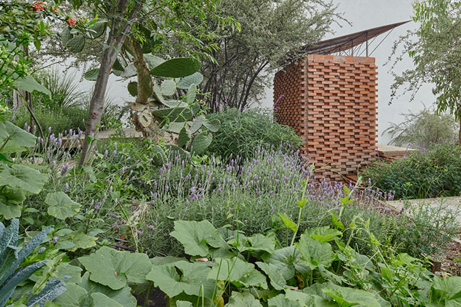 El Terreno by VERTEBRAL: Urban community garden and educational center