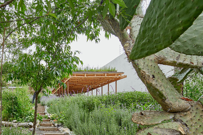 El Terreno by VERTEBRAL: Urban community garden and educational center