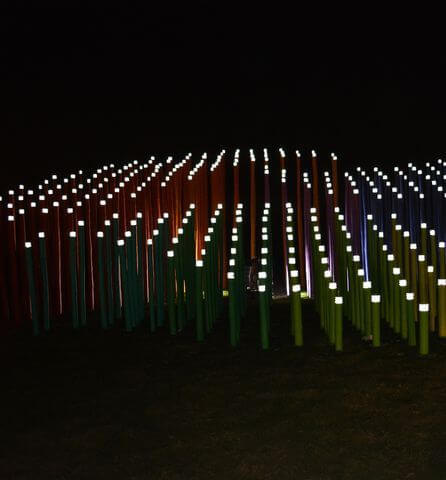 Bamboo Installation, Kolkata