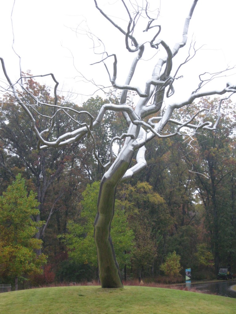 A magical tree in front of the drive/entrance to the museum