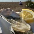 Today’s oyster on the beach.