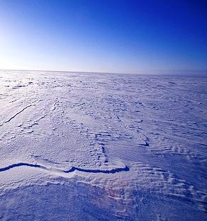 frozen tundra covers much of Alaska