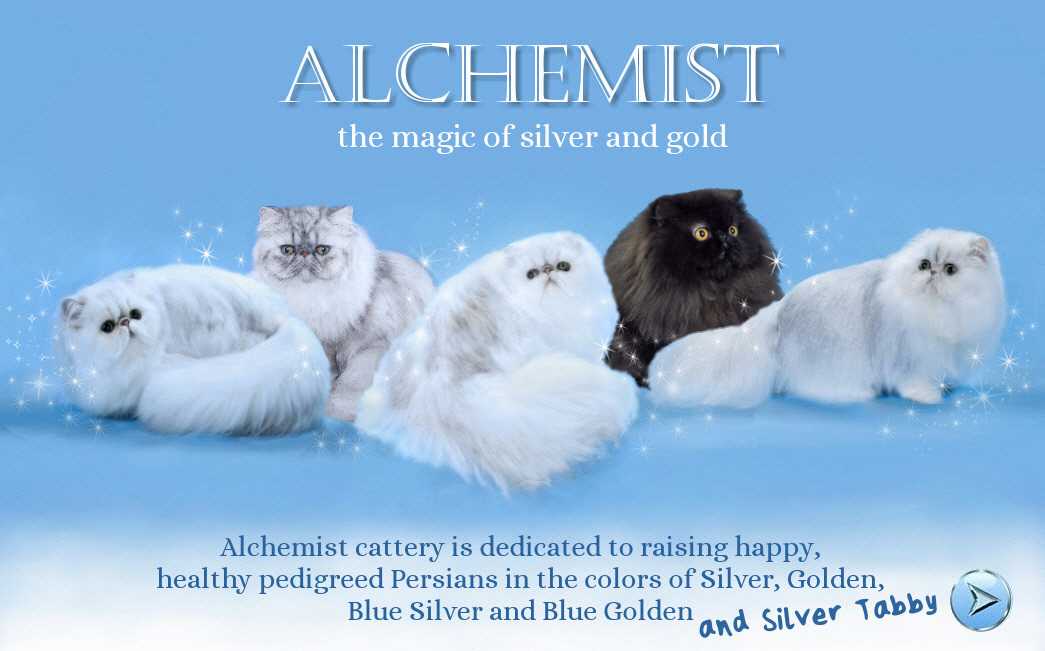 This image was stolen from www.alchemistpersians.com