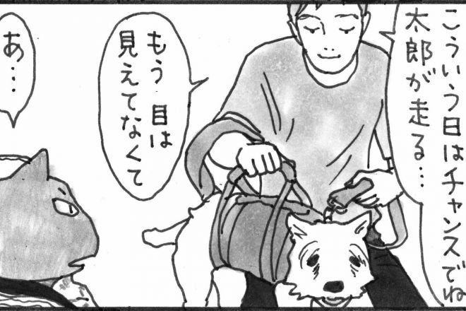 年をとって目が見えなくなった愛犬をキャリーで連れていた男性ですが…