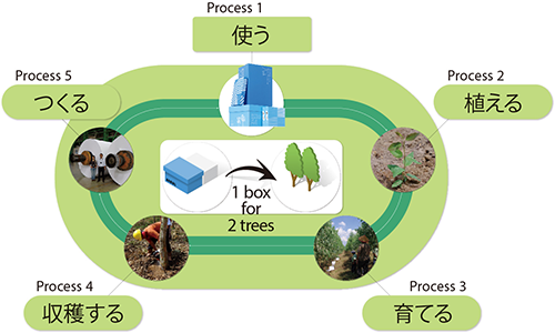 1 box for 2 treesのサイクル