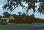 CSX northbound empty coal train.