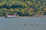 River Traffic