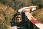 ATSF 5002 at Burke