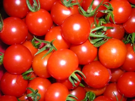 Tomate 