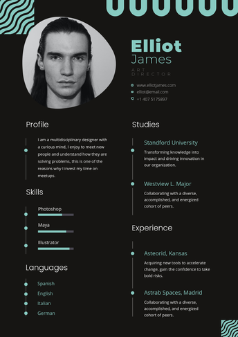 Resume A4 - Art Director