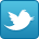 Follow  <b>YOUR-TWITTER-ACCOUNT-NAME</b> on Twitter