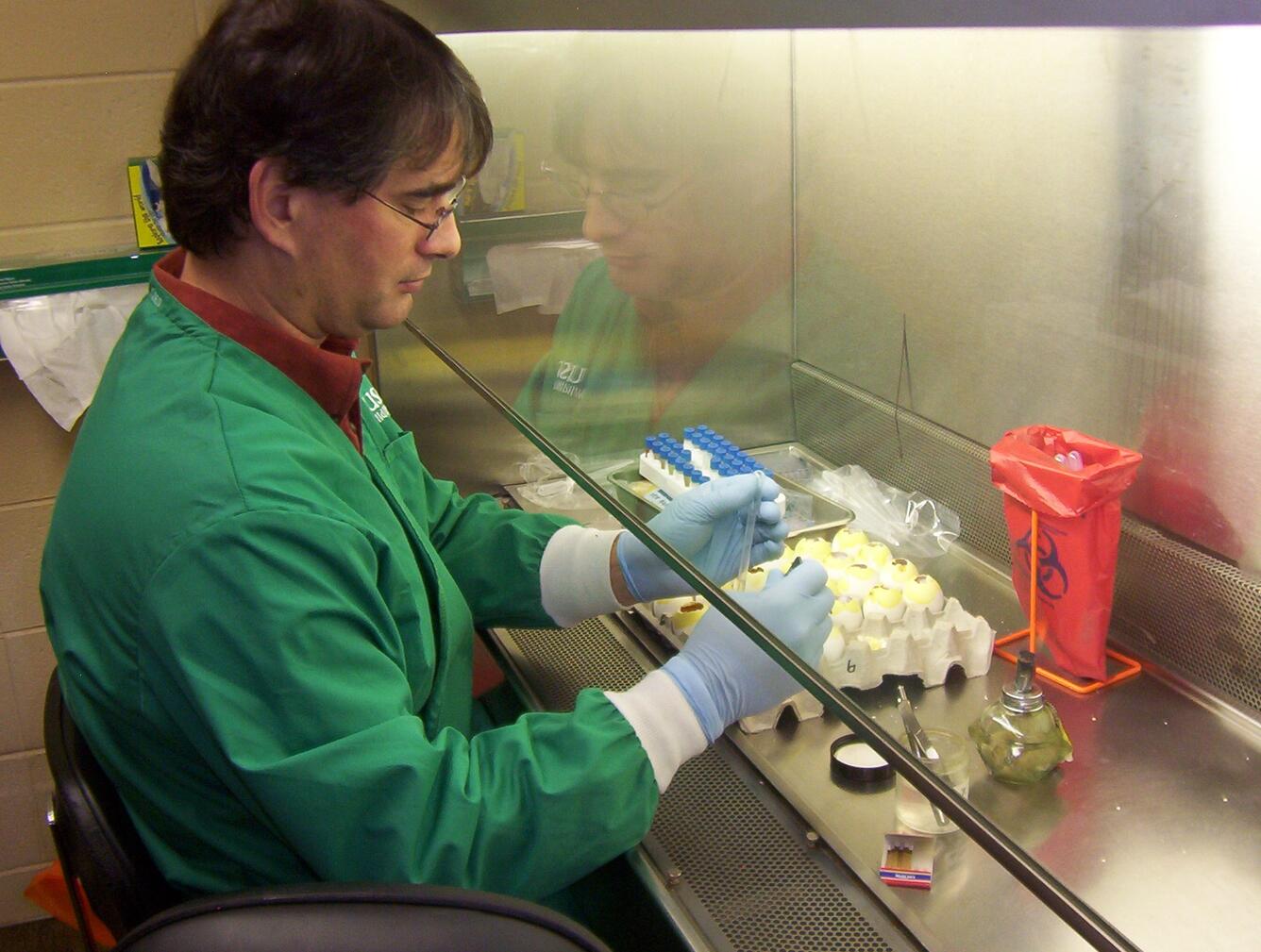 Image: USGS Avian Flu Research