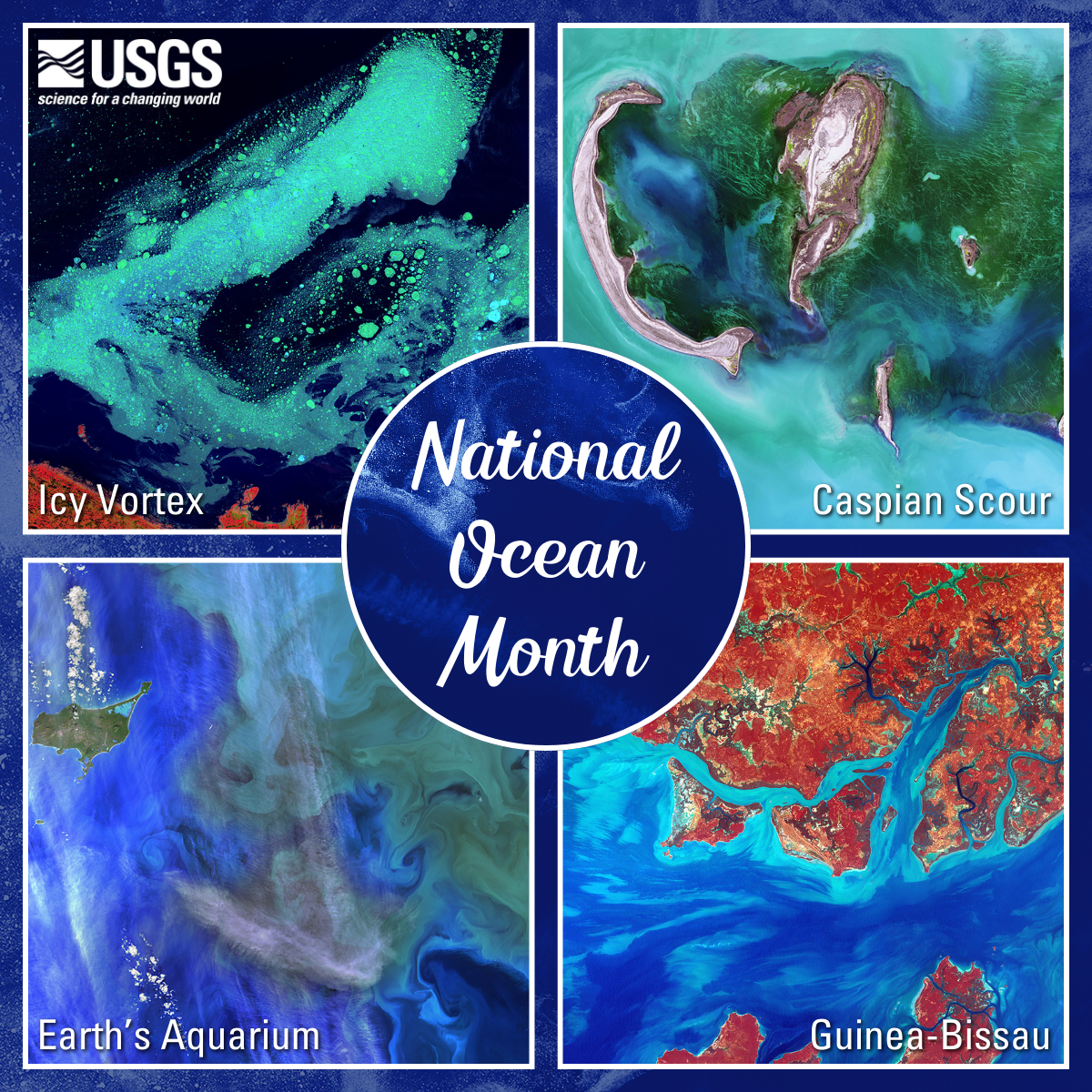 National Ocean Month - Earth as Art