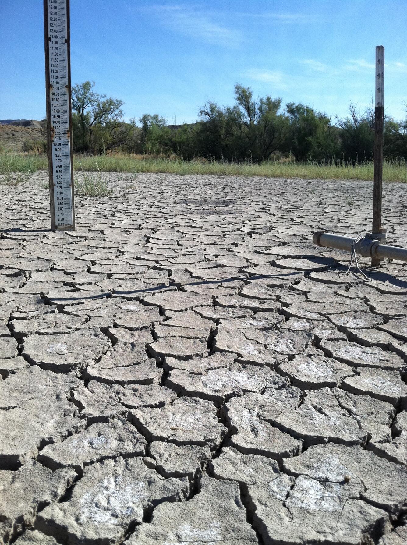 Dry conditions at cattle water sources in western Colorado. 