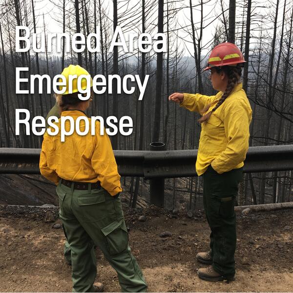 Title Card for Burned Area Emergency Response