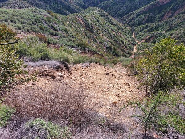 rocks, dirt, and shrubs on hillside