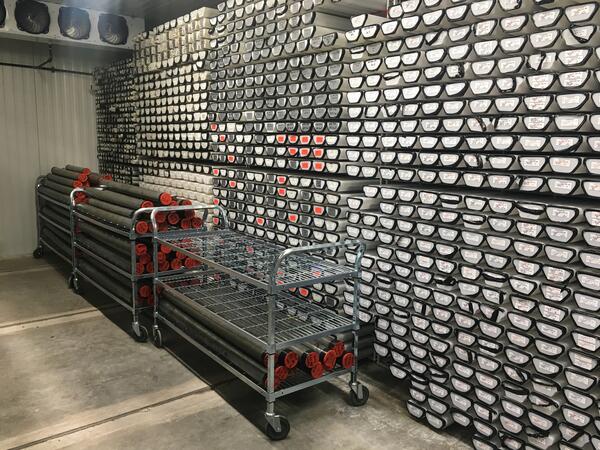 Walls and carts of cores