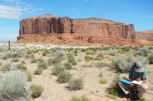 Photo of USGS soil scientist Travis Nauman records vegetation data on decommissioned well pad.