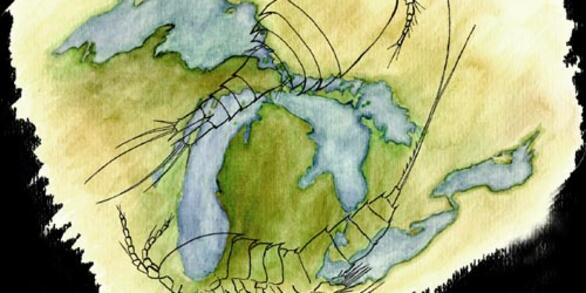 Drawing of the Great Lakes with a copepod overlay