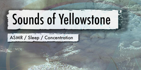 Sounds of Yellowstone, ASMR / Sleep / Concentration
