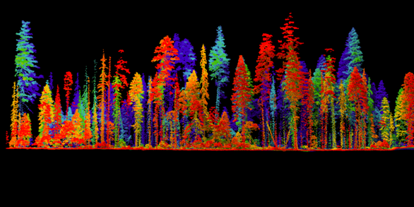 Profile view of an airborne lidar point cloud of a forest