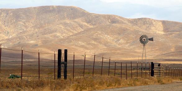 Drought damage on the Fresno Harlen Ranch, California