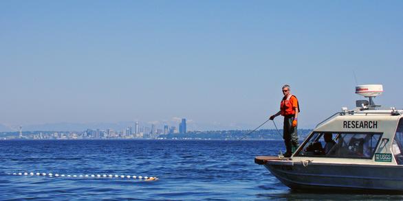 Deploying a beach seine