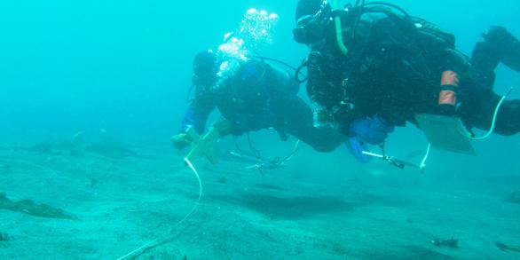 Two divers underwater, wearing wet suits, air tanks, and respirators, and holding a measuring tape.