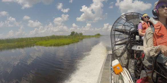 WARC scientists take an airboat out to a wetland study site in Louisiana