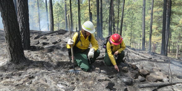 Monitoring fire effects at archaeological sites provides critical information for fire planning and site preservation. 