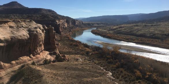 The Colorado River near Grand Junction, Colorado. 