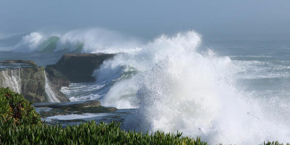  Large waves breaking on cliffs in Santa Cruz, California; vegetation in the foreground and sea blends into sky in background