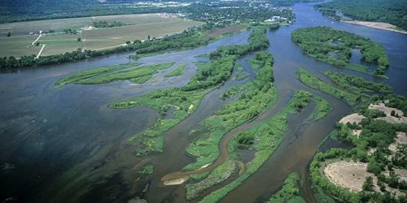 Upper Mississippi River floodplain