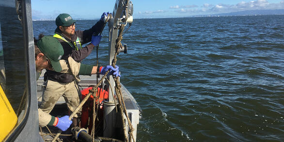 Hydrologic technicians, Kyle Nakatsuka and Thomas Jetson, deploying a flow sensor on a shoal in San Francisco Bay.