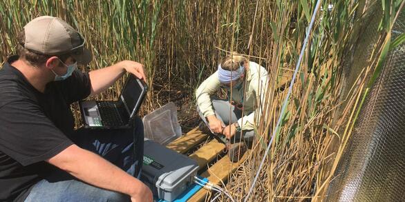 Photograph of USGS staff collecting data in a marsh