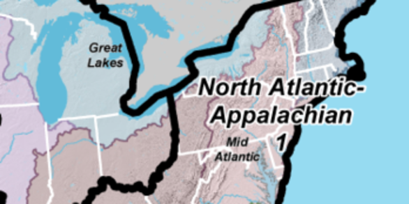 Region 1: North Atlantic-Appalachian thumbnail