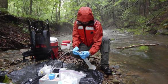 River Sampling