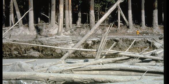 Lahars resulting from the May 18, 1980 eruption of Mount St. Helens...