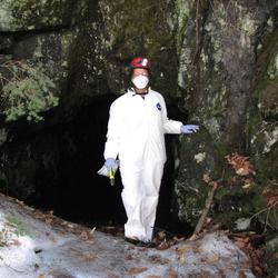 Image: Scientist at Bat Cave