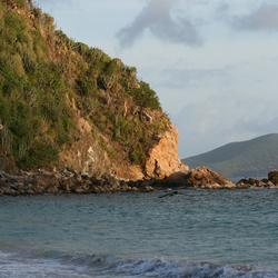 Image: Sheltering Caribbean Headland