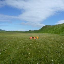 Image: Geologic Studies on Sitkinak Island, Alaska