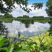 Ottawa National Wildlife Refuge in July