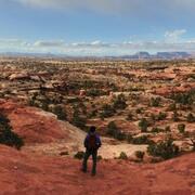 A person looks out over a panorama of Canyonlands National Park, Utah