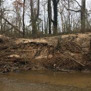 Streambank erosion along Crabtree Creek in Raleigh, NC